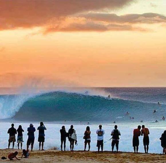 Meet your Posher, Char - Picture 1 of 1